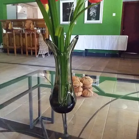 Etno House Moon Bed & Breakfast